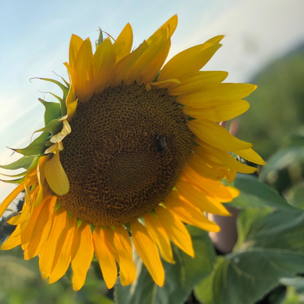 Meet your Posher, Gabrielle